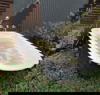 William Hunts Retreat Cypress Studio - Tourism Brisbane