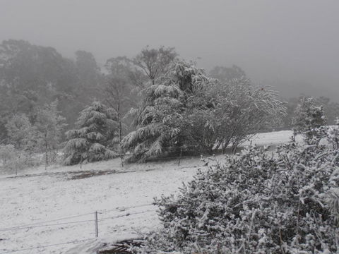 Springmead Rustic Cabin - Tourism Brisbane 6