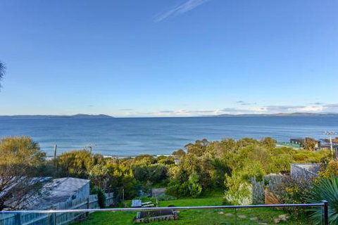 Jacks Nest - Tourism Brisbane 5