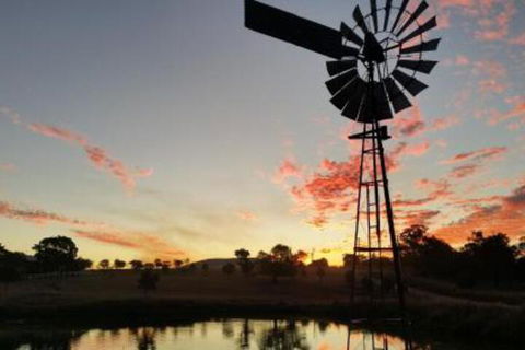 Milford Country Cottages - Brisbane 4u 3
