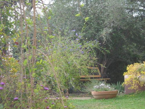 Amalie Cottage Waikerie Unit 1 - Tourism Brisbane 5