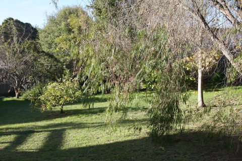 Lytton At Lonnie - Tourism Brisbane 2