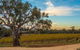 Shadow Creek McLaren Vale - thumb 3