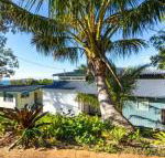 Cylinder Palms - Brisbane Tourism