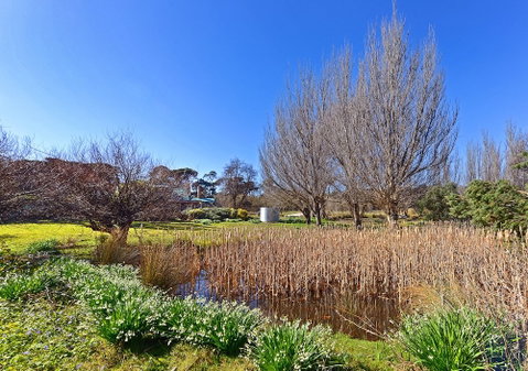 Ventnor Guest House - Tourism Brisbane 6