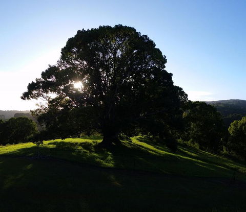 Valleydale Cottage - Brisbane 4u 1