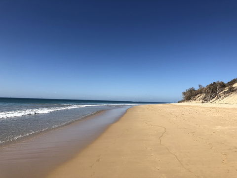 Shipley At Portsea - Tourism Brisbane 6