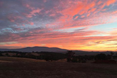 Country Budget - Tourism Brisbane 6