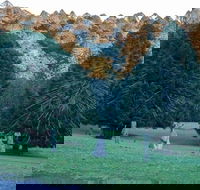 Escape to the Country - Enjoy the Firepit or Explore Magical Bunya Mountains - Brisbane Tourism