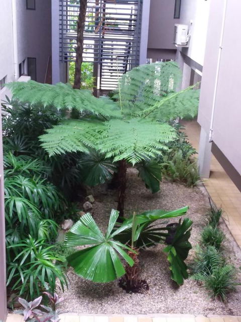 Jackies Studio Apartment - Brisbane Tourism 5