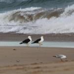 GALWAY COTTAGE - Brisbane 4u 0