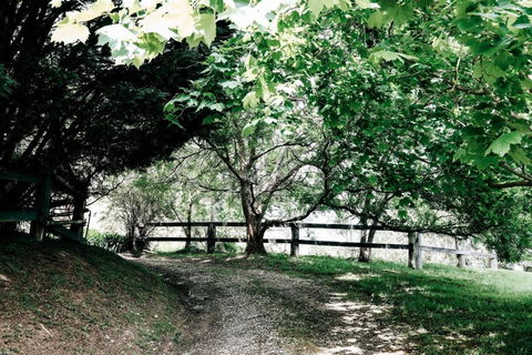 Braebrook Stunning Farm House! - Tourism Brisbane 3