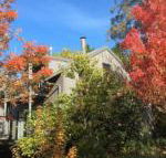 Cloudsong Chalet 4 Close to the village centre - Tourism Brisbane
