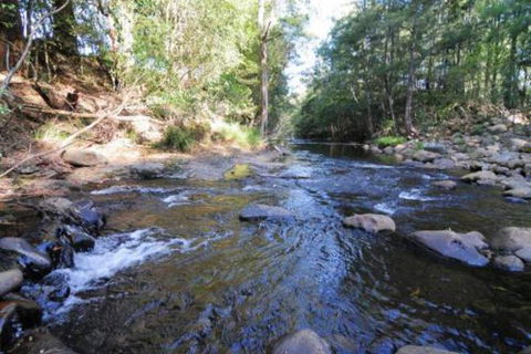 Willabrook Retreat Mojo Cottage Romantic Escape! - Tourism Brisbane 5