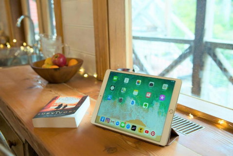 Adelaide Hills Camellia Cottage WiFi - Brisbane Tourism 4