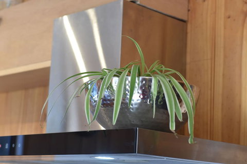 Tutumaz By The River - Brisbane Tourism 6