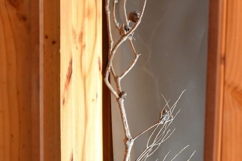 Tutumaz By The River - Brisbane Tourism 4