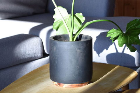 Tutumaz By The River - Brisbane Tourism 2