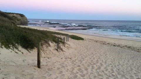 Lighthouse Palms - Brisbane Tourism 4