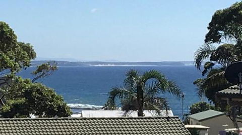 Lighthouse Palms - Brisbane Tourism 5