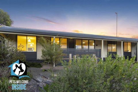 Retro Groovy Pad Pt Elliot - Brisbane Tourism 4