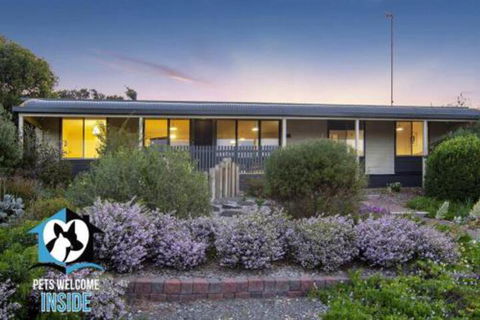 Retro Groovy Pad Pt Elliot - Brisbane Tourism 5