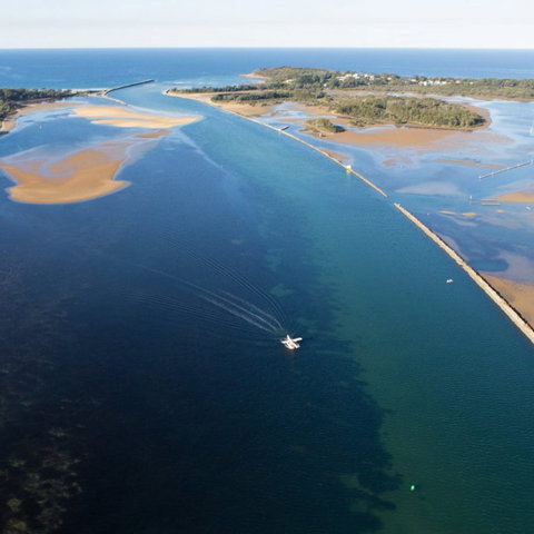 The Seabird - Tourism Brisbane 0