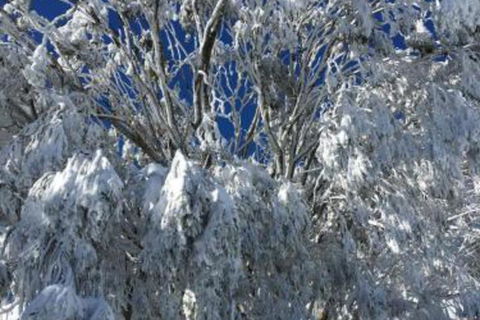 Sun Valley 2 - Tourism Brisbane 3