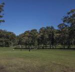 Championship Golf Course on your Back Door - Tourism Brisbane