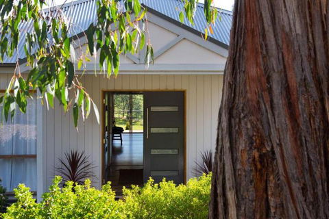 Phoenix - Tourism Brisbane 4
