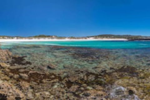 Hanson Bay Wildlife Sanctuary And Cabins - Tourism Brisbane 0