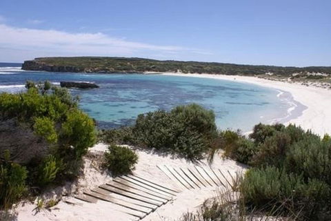 Hanson Bay Wildlife Sanctuary And Cabins - Tourism Brisbane 1