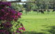 Greenfields - thumb 2