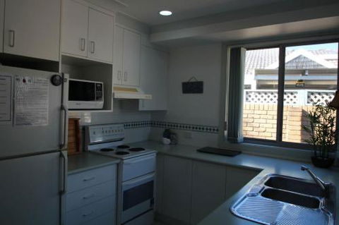 KENTIA - Tourism Brisbane 4