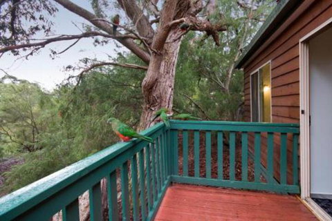 Hidden Valley Cabins - Brisbane Tourism 6