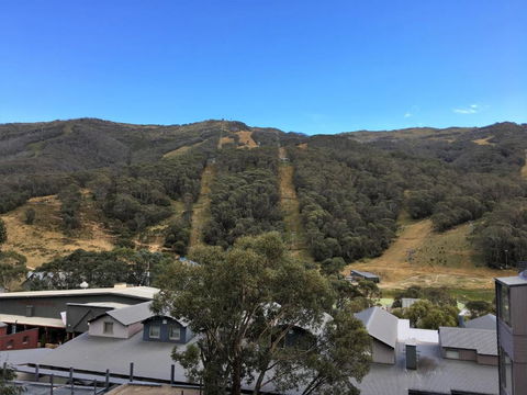 Snowman 6 - Tourism Brisbane 2