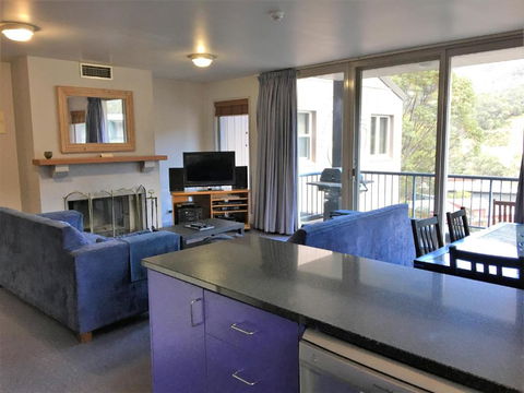 Snowman 6 - Tourism Brisbane 1