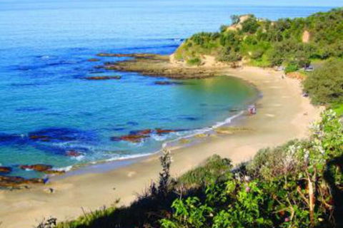 Pacific Studio Nambucca Heads - Brisbane 4u 5