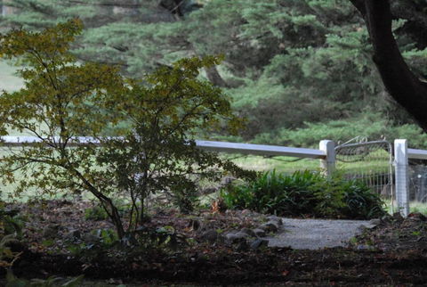 Toolebewang Farm Cottage - Tourism Brisbane 4