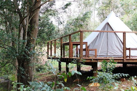 Stonehouse Farm Glamping - Brisbane Tourism 5