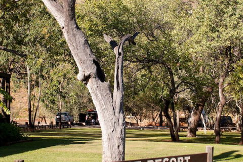 El Questro Emma Gorge Resort - Tourism Brisbane 4