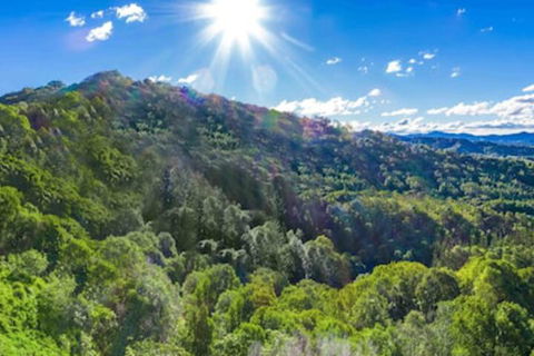 Summer Breeze - Tourism Brisbane 3