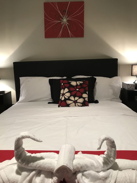 Serviced Apartments Sydney - Brisbane Tourism 5