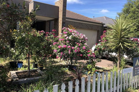 Apple House - Tourism Brisbane 2