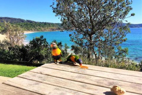 Yallumbee - Tourism Brisbane 3