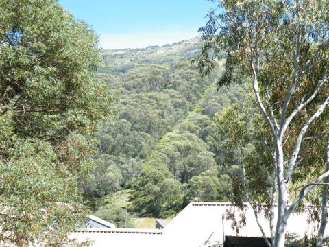 Mowamba E1 - Brisbane Tourism 4