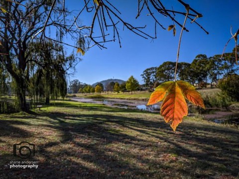 Dillons Cottage - Brisbane Tourism 4