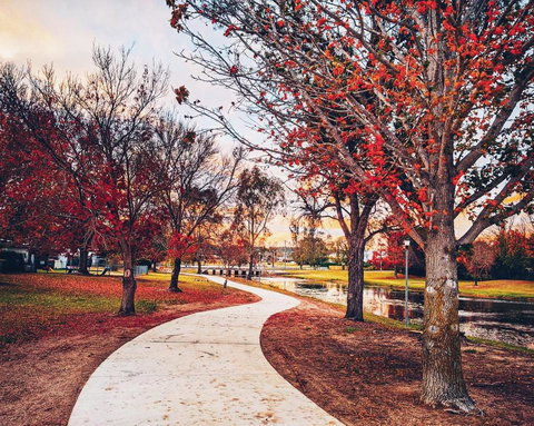 Dillons Cottage - Brisbane Tourism 3