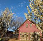 Magenta Cottage - Brisbane Tourism