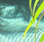 Artizen - Tourism Brisbane